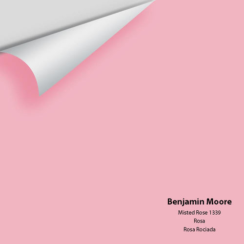 Benjamin Moore - Misted Rose 1339 Peel & Stick Color Sample