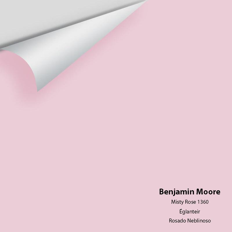 Benjamin Moore - Misty Rose 1360 Peel & Stick Color Sample