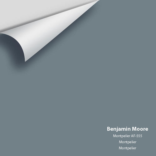 Benjamin Moore - Montpelier AF-555 Peel & Stick Color Sample