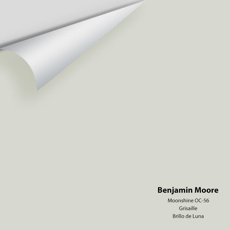 Benjamin Moore - Moonshine 2140-60/OC-56 Peel & Stick Color Sample