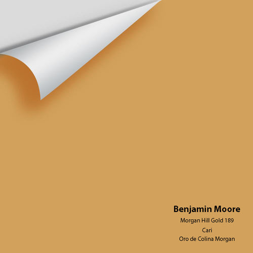 Benjamin Moore - Morgan Hill Gold 189 Peel & Stick Color Sample