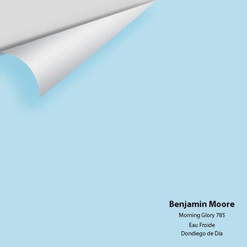 Benjamin Moore - Morning Glory 785 Peel & Stick Color Sample