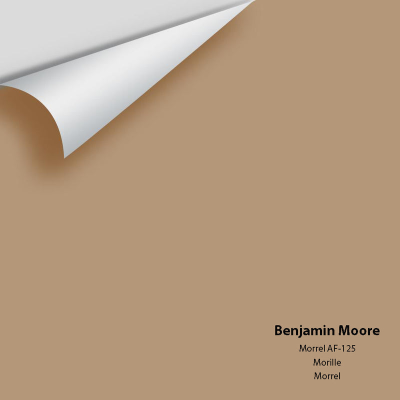 Benjamin Moore - Morrel AF-125 Peel & Stick Color Sample