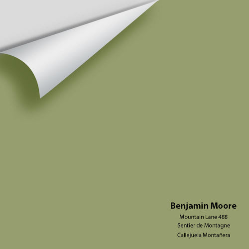 Benjamin Moore - Mountain Lane 488 Peel & Stick Color Sample