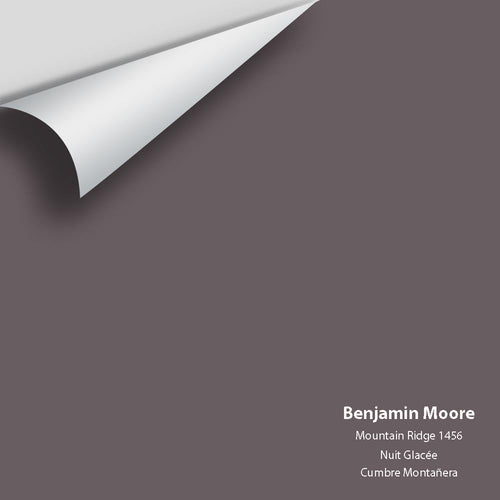 Benjamin Moore - Mountain Ridge 1456 Peel & Stick Color Sample