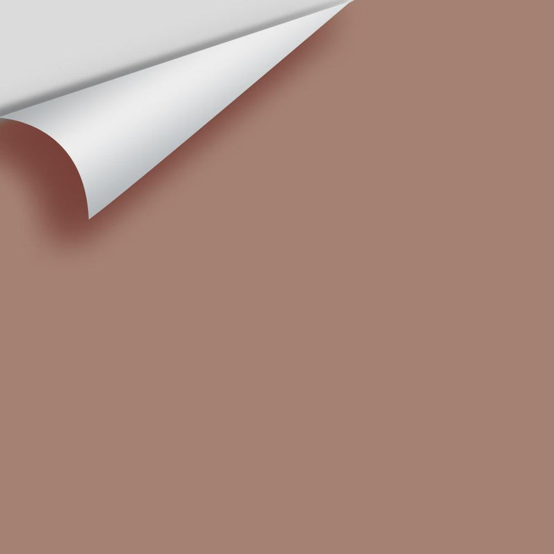 Benjamin Moore - Mudslide 2095-40 Peel & Stick Color Sample