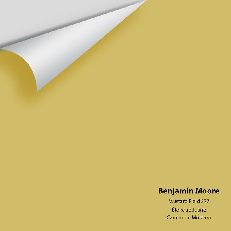 Benjamin Moore - Mustard Field 377 Peel & Stick Color Sample