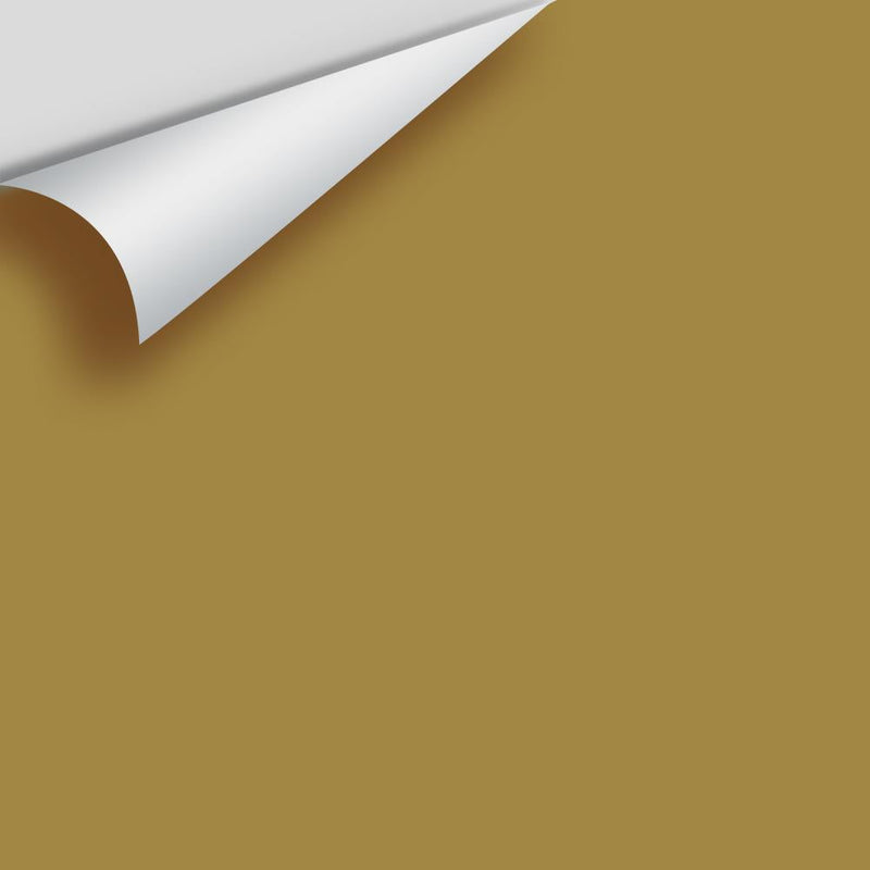 Benjamin Moore - Mustard Olive 2151-10 Peel & Stick Color Sample