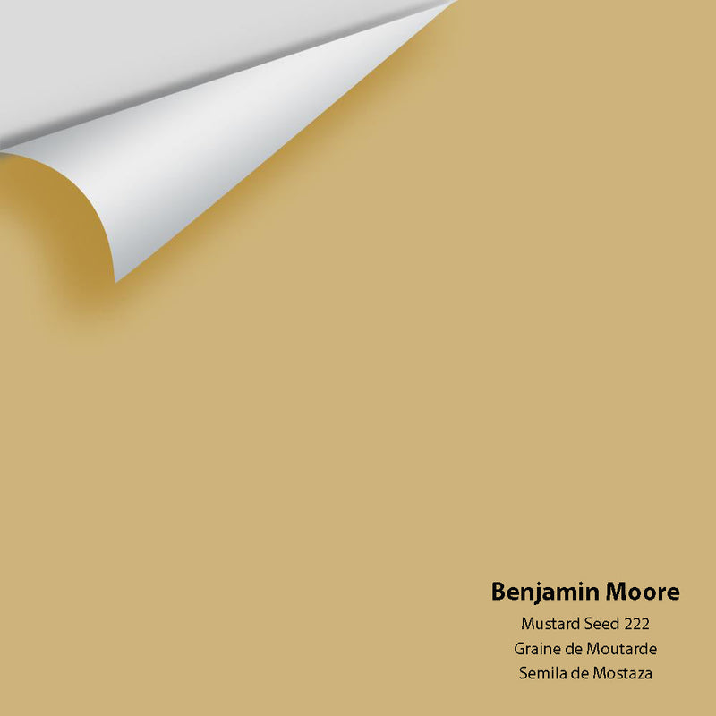 Benjamin Moore - Mustard Seed 222 Peel & Stick Color Sample