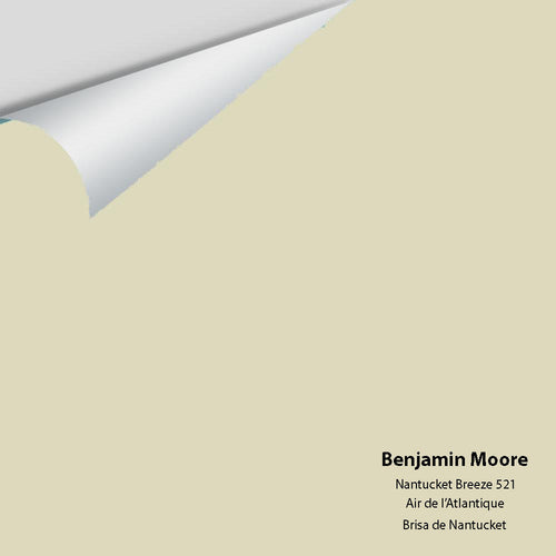 Benjamin Moore - Nantucket Breeze 521 Peel & Stick Color Sample