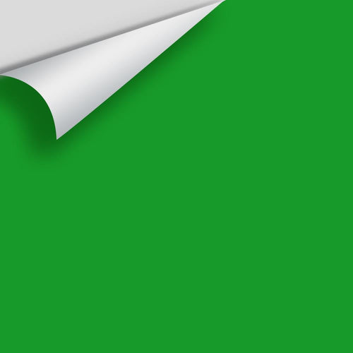 Benjamin Moore - Neon Green 2032-10 Peel & Stick Color Sample