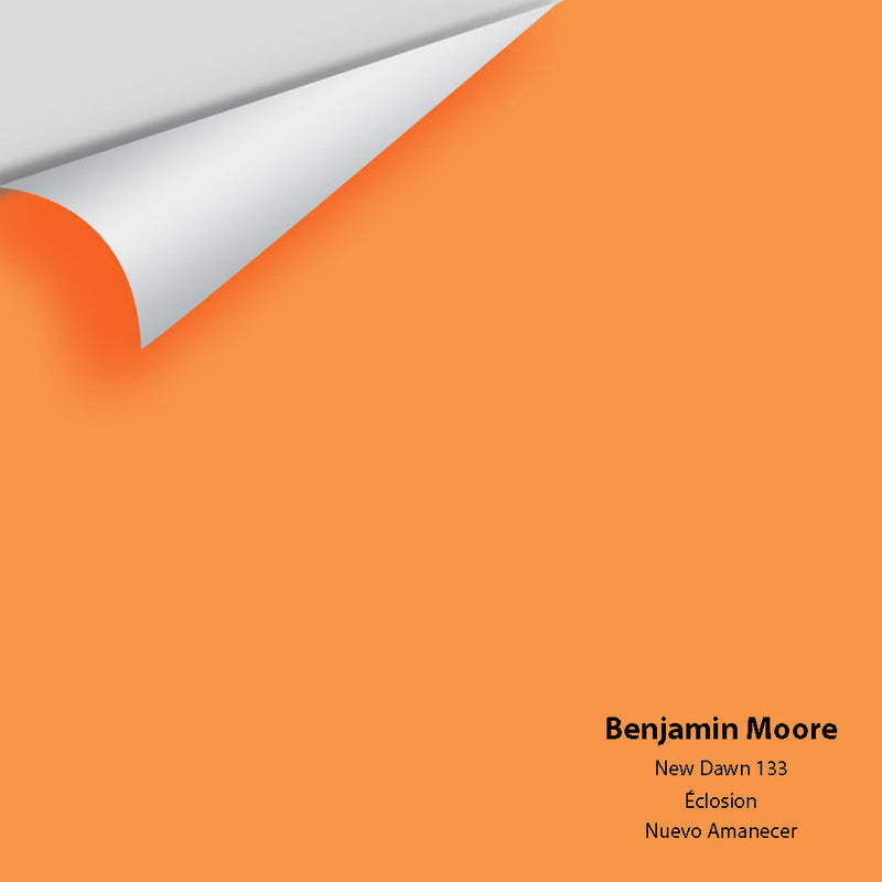 Benjamin Moore - New Dawn 133 Peel & Stick Color Sample
