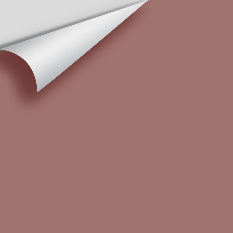 Benjamin Moore - New England Brown 2104-40 Peel & Stick Color Sample