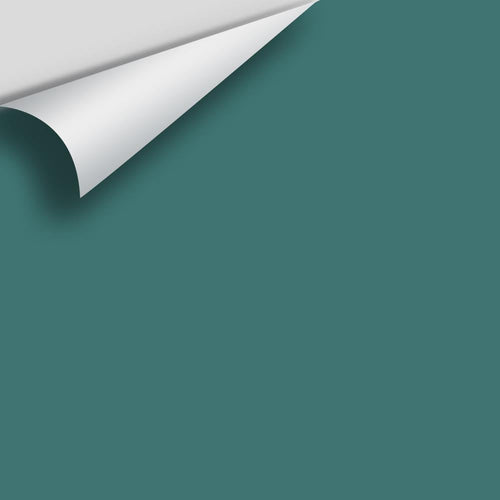 Benjamin Moore - Newport Green 2050-30 Peel & Stick Color Sample