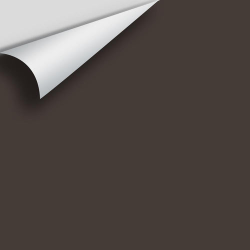 Benjamin Moore - Night Shade 2116-10 Peel & Stick Color Sample