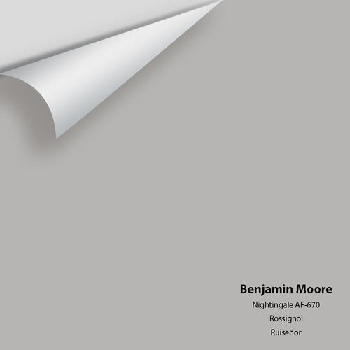 Benjamin Moore - Nightingale AF-670 Peel & Stick Color Sample