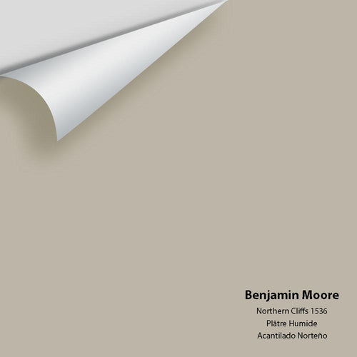 Benjamin Moore - Northern Cliffs 1536 Peel & Stick Color Sample