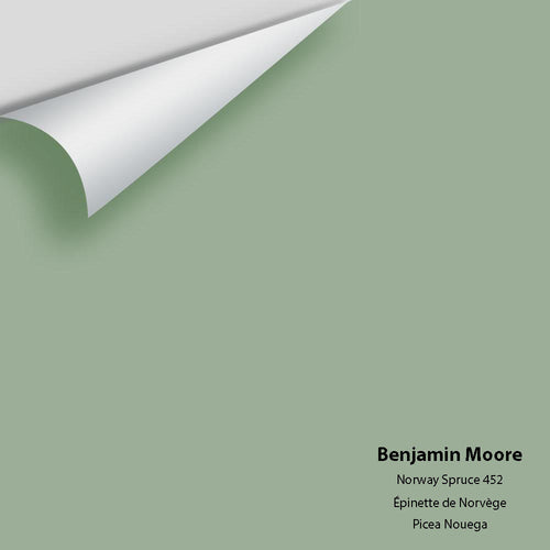 Benjamin Moore - Norway Spruce 452 Peel & Stick Color Sample
