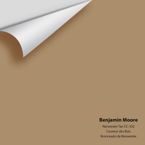 Benjamin Moore - Norwester Tan CC-332 Peel & Stick Color Sample