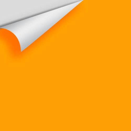 Benjamin Moore - Orange Sky 2018-10 Peel & Stick Color Sample