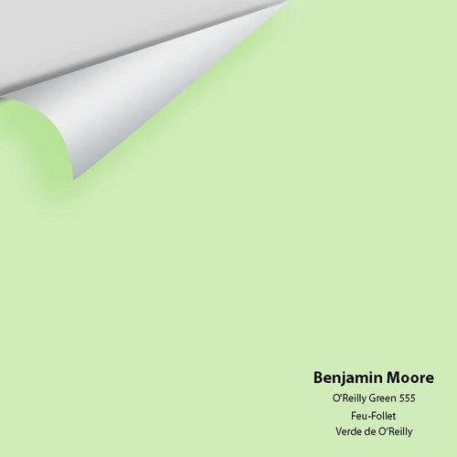 Benjamin Moore - O'Reilly Green 555 Peel & Stick Color Sample