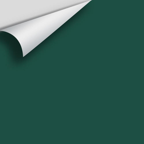 Benjamin Moore - Ocean Tropic 2052-10 Peel & Stick Color Sample