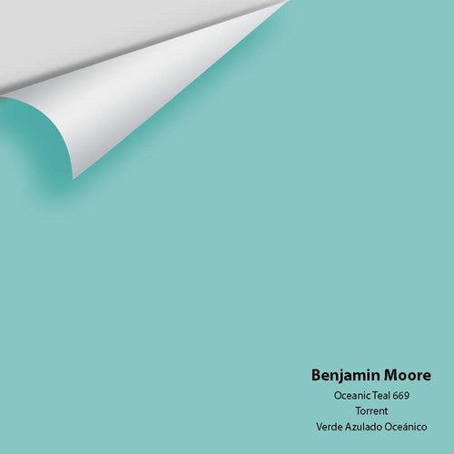 Benjamin Moore - Oceanic Teal 669 Peel & Stick Color Sample