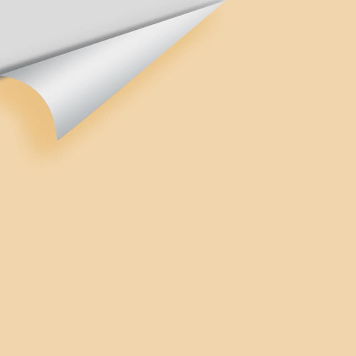 Benjamin Moore - Oklahoma Wheat 2160-50 Peel & Stick Color Sample