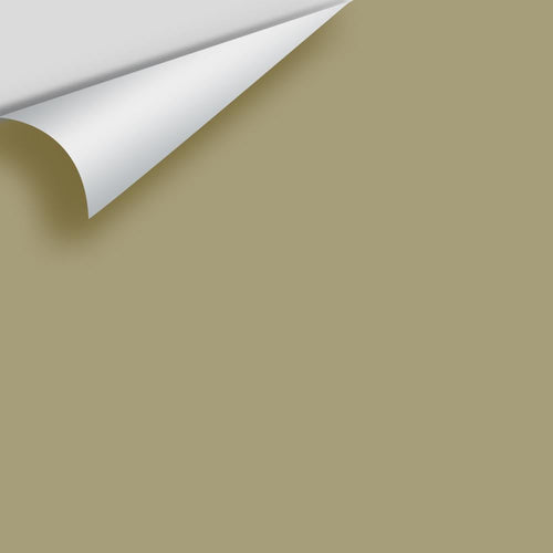 Benjamin Moore - Olive Branch 2143-30 Peel & Stick Color Sample