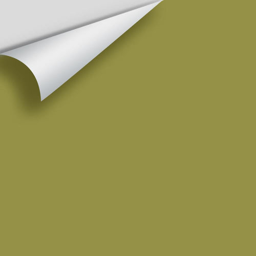 Benjamin Moore - Olive Moss 2147-20 Peel & Stick Color Sample