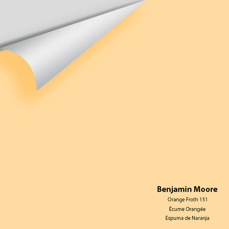 Benjamin Moore - Orange Froth 151 Peel & Stick Color Sample
