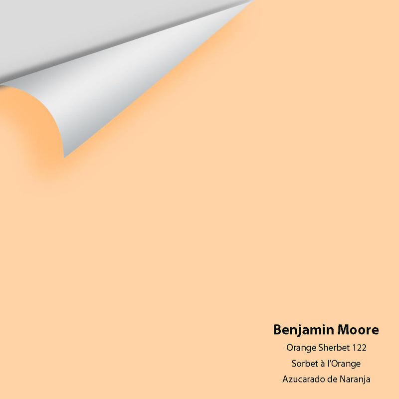 Benjamin Moore - Orange Sherbet 122 Peel & Stick Color Sample