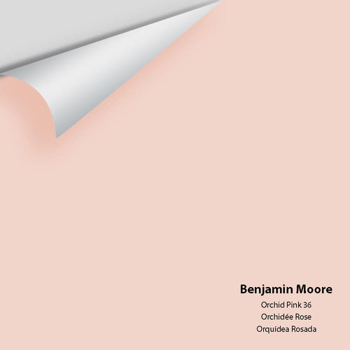 Benjamin Moore - Orchid Pink 36 Peel & Stick Color Sample