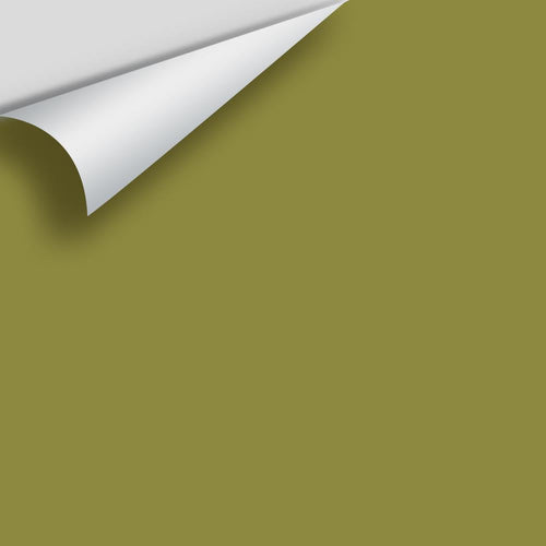 Benjamin Moore - Oregano 2147-10 Peel & Stick Color Sample