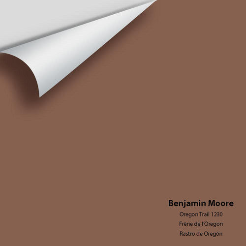 Benjamin Moore - Oregon Trail 1230 Peel & Stick Color Sample