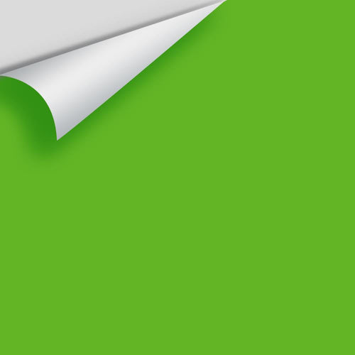 Benjamin Moore - Paradise Green 2031-20 Peel & Stick Color Sample