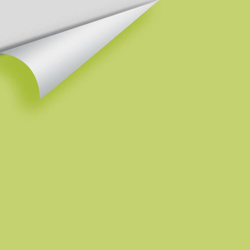 Benjamin Moore - Pear Green 2028-40 Peel & Stick Color Sample