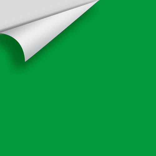 Benjamin Moore - Peppermint Leaf 2033-20 Peel & Stick Color Sample