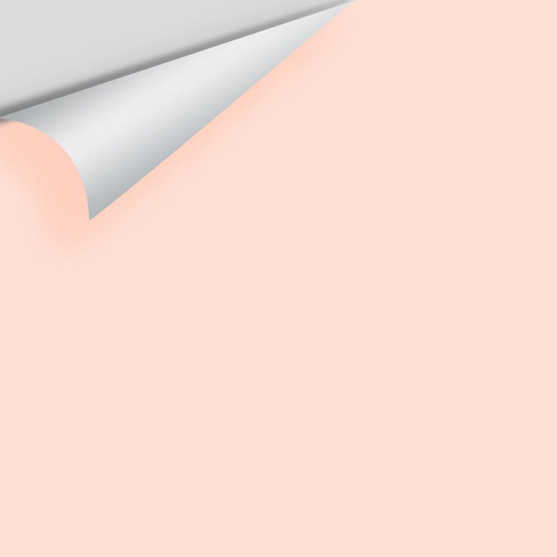 Benjamin Moore - Pink Harmony 2013-60 Peel & Stick Color Sample