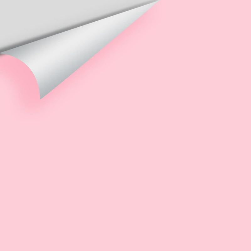 Benjamin Moore - Pink Parfait 2004-60 Peel & Stick Color Sample