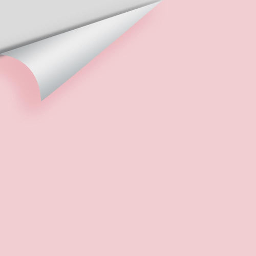 Benjamin Moore - Pink Pearl 2005-60 Peel & Stick Color Sample