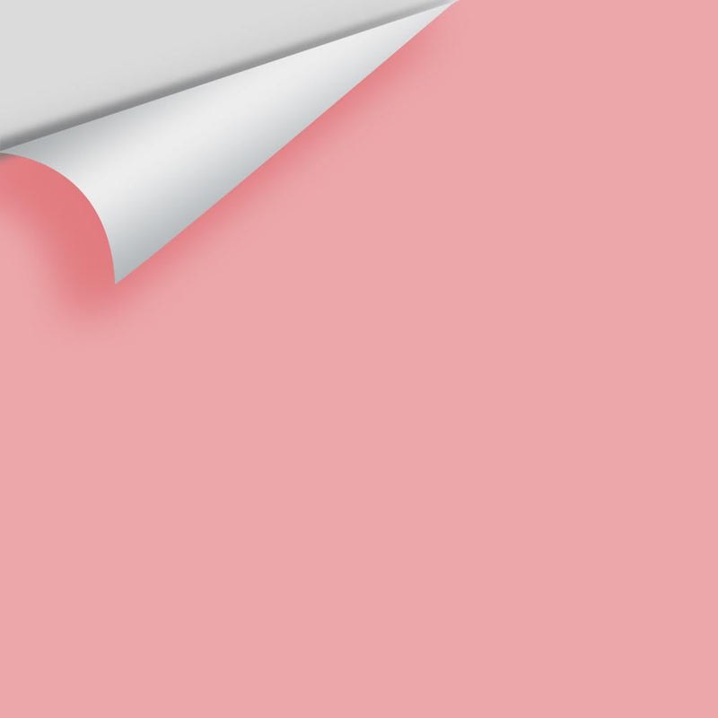 Benjamin Moore - Pink Punch 2006-50 Peel & Stick Color Sample