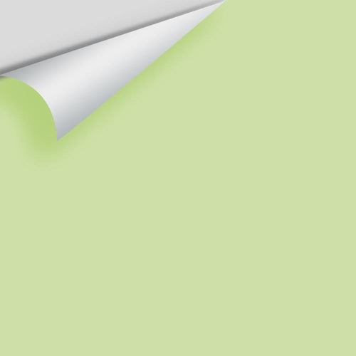 Benjamin Moore - Potpourri Green 2029-50 Peel & Stick Color Sample