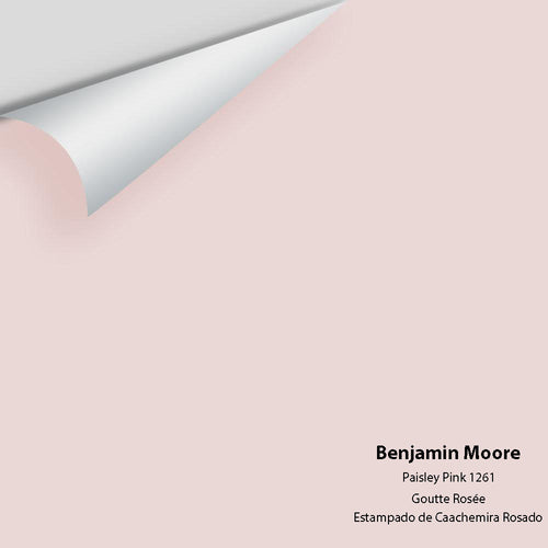 Benjamin Moore - Paisley Pink 1261 Peel & Stick Color Sample