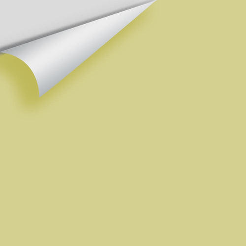Benjamin Moore - Pale Avocado 2146-40 Peel & Stick Color Sample