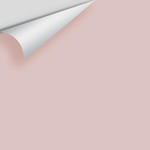 Benjamin Moore - Pale Berry 2103-60 Peel & Stick Color Sample