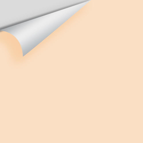 Benjamin Moore - Pale Oats 2166-60 Peel & Stick Color Sample