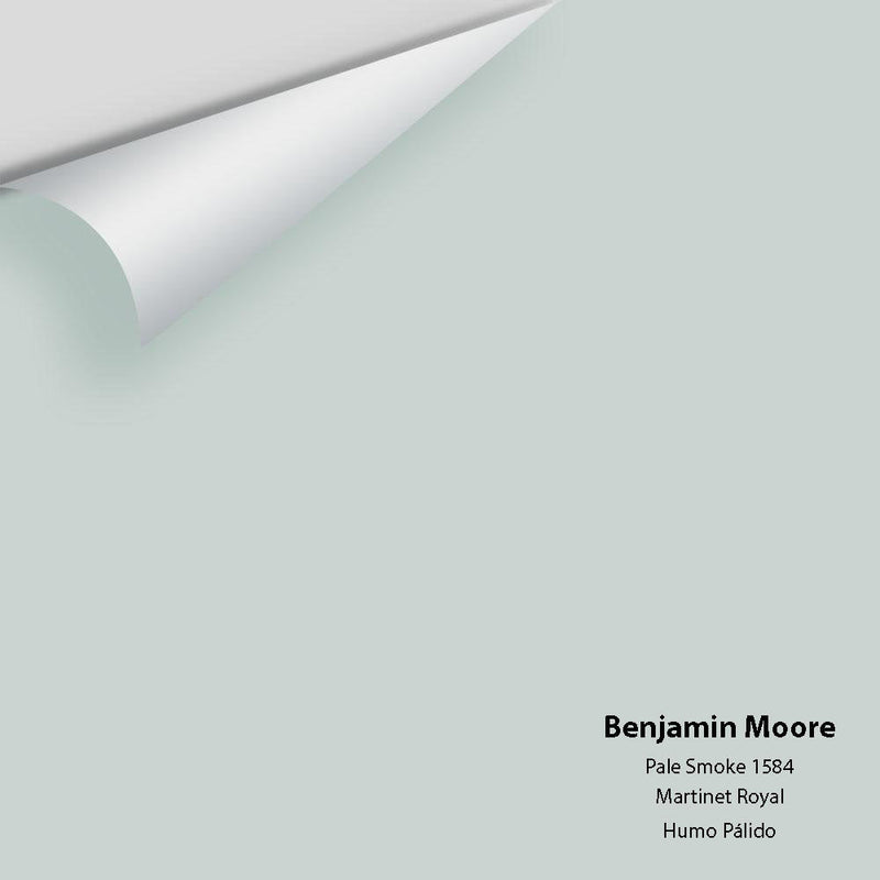 Benjamin Moore - Pale Smoke 1584 Peel & Stick Color Sample