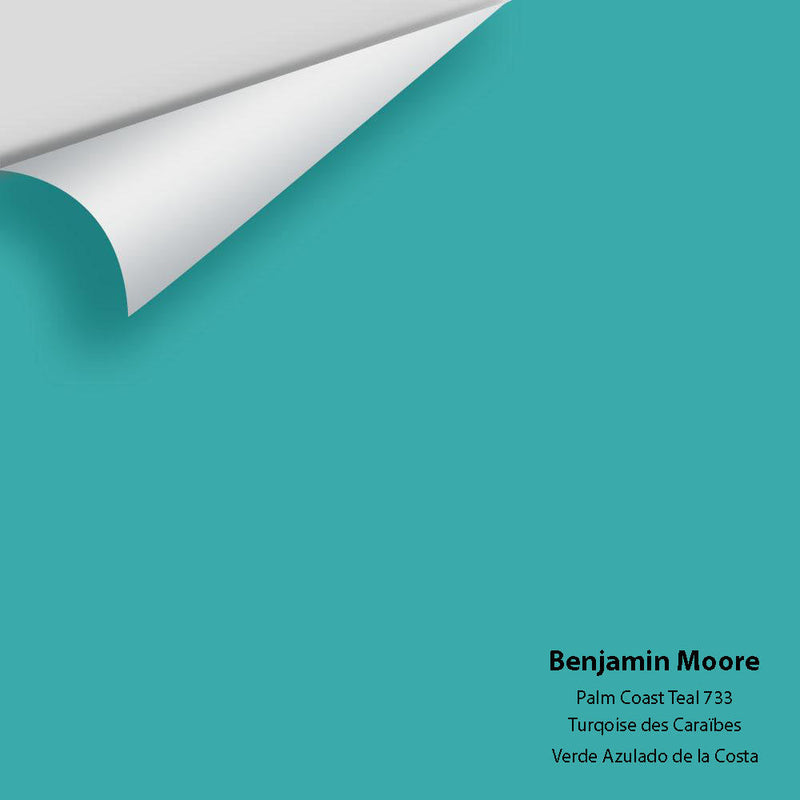 Benjamin Moore - Palm Coast Teal 733 Peel & Stick Color Sample