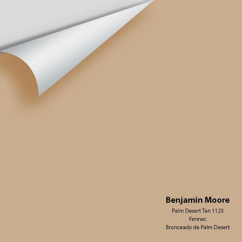 Benjamin Moore - Palm Desert Tan 1123 Peel & Stick Color Sample